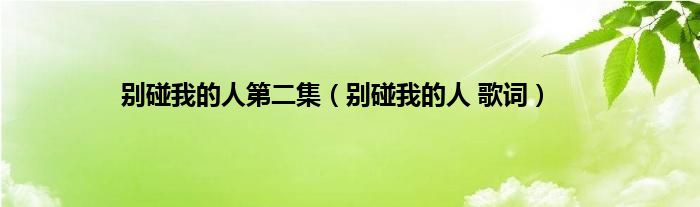 别碰我的人第二集（别碰我的人 歌词）