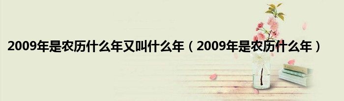 2009年是农历是什么年又叫是什么年（2009年是农历是什么年）