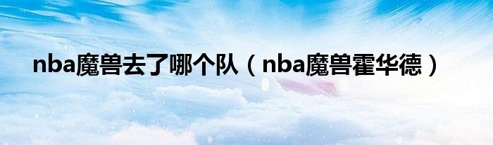 nba魔兽去了哪个队（nba魔兽霍华德）