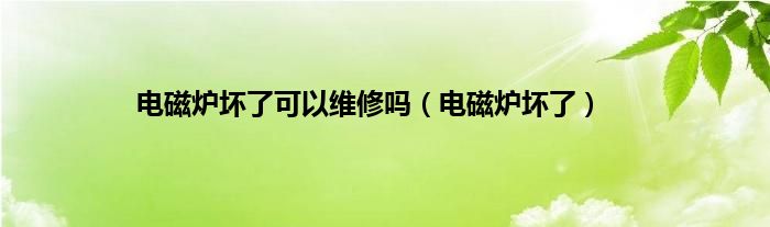 电磁炉坏了可以维修吗（电磁炉坏了）