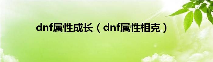 dnf属性成长（dnf属性相克）