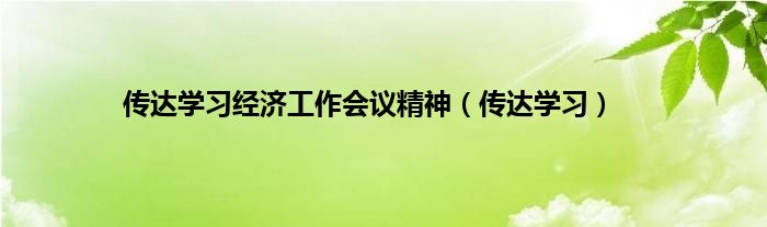 传达学习经济工作会议精神（传达学习）