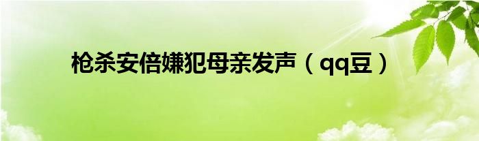 枪杀安倍嫌犯母亲发声（qq豆）