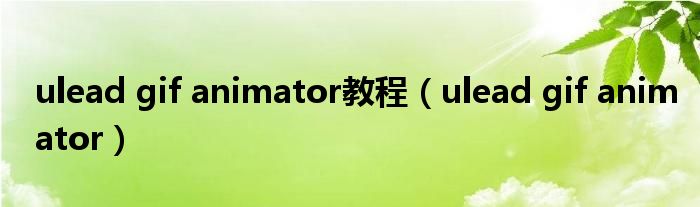 ulead gif animator教程（ulead gif animator）