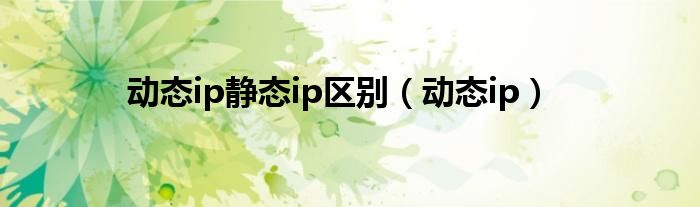 动态ip静态ip区别（动态ip）