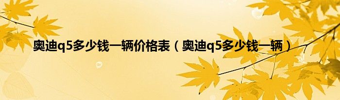 奥迪q5多少钱一辆价格表（奥迪q5多少钱一辆）