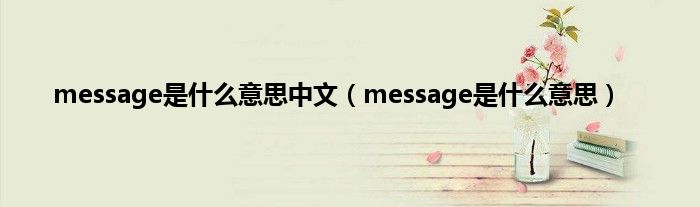 message是是什么意思中文（message是是什么意思）