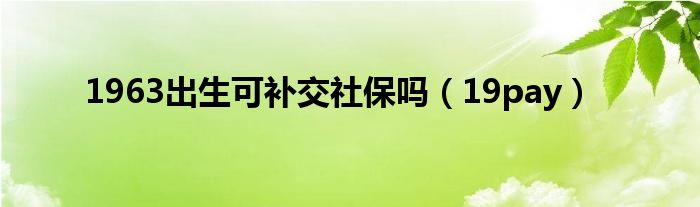 1963出生可补交社保吗（19pay）