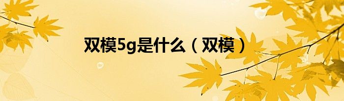 双模5g是是什么（双模）