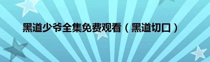 黑道少爷全集免费观看（黑道切口）