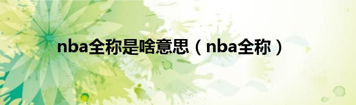 nba全称是啥意思（nba全称）