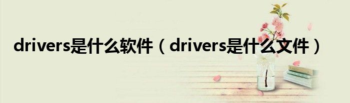 drivers是是什么软件（drivers是是什么文件）