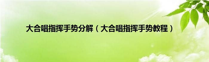 大合唱指挥手势分解（大合唱指挥手势教程）