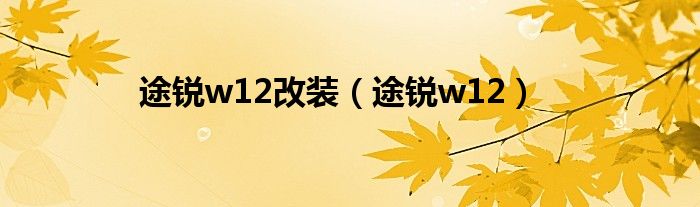 途锐w12改装（途锐w12）