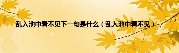 乱入池中看不见下一句是是什么（乱入池中看不见）