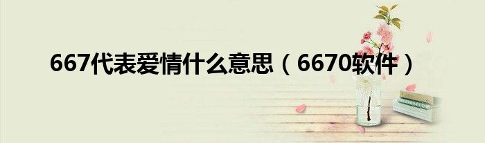 667代表爱情是什么意思（6670软件）