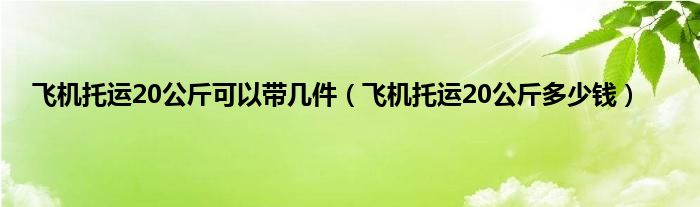 飞机托运20公斤可以带几件（飞机托运20公斤多少钱）