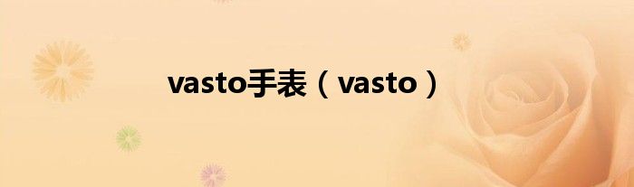 vasto手表（vasto）