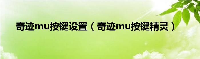 奇迹mu按键设置（奇迹mu按键精灵）