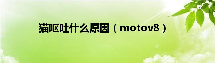 猫呕吐是什么原因（motov8）