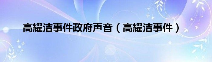 高耀洁事件政府声音（高耀洁事件）