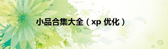 小品合集大全（xp 优化）