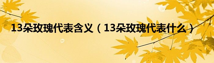 13朵玫瑰代表含义（13朵玫瑰代表是什么）