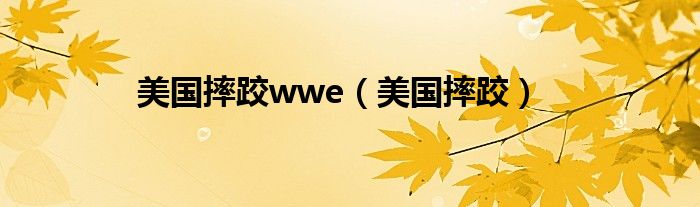 美国摔跤wwe（美国摔跤）