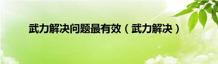 武力解决问题最有效（武力解决）