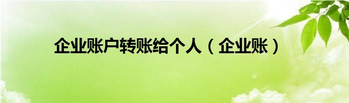 企业账户转账给个人（企业账）