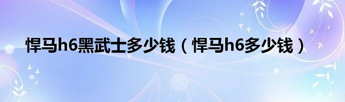 悍马h6黑武士多少钱（悍马h6多少钱）