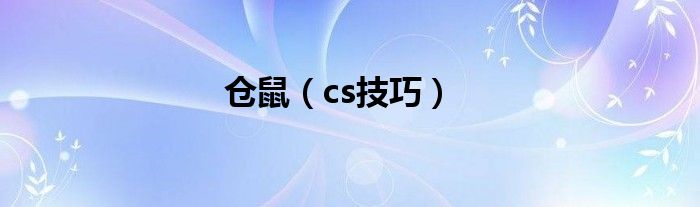 仓鼠（cs技巧）