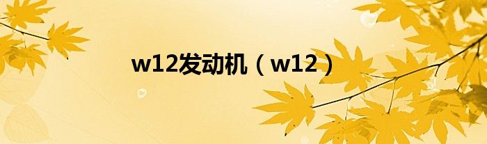 w12发动机（w12）