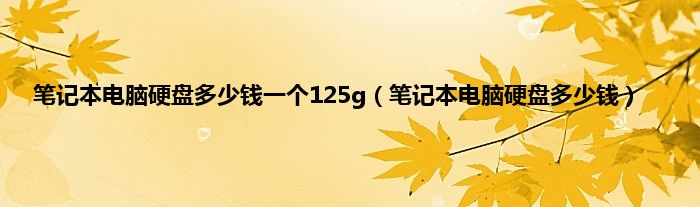 笔记本电脑硬盘多少钱一个125g（笔记本电脑硬盘多少钱）