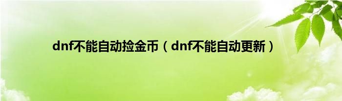 dnf不能自动捡金币（dnf不能自动更新）