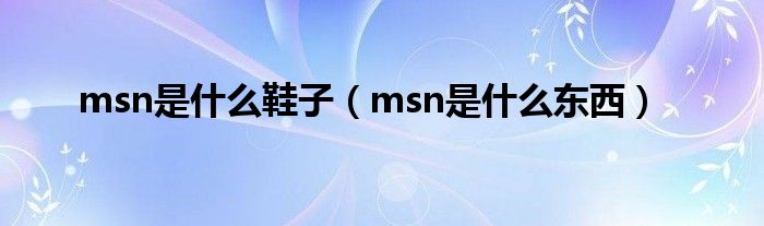 msn是是什么鞋子（msn是是什么东西）