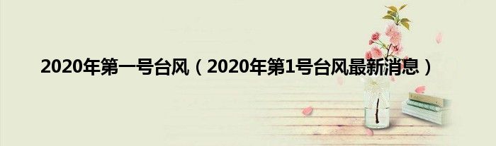 2020年第一号台风（2020年第1号台风最新消息）