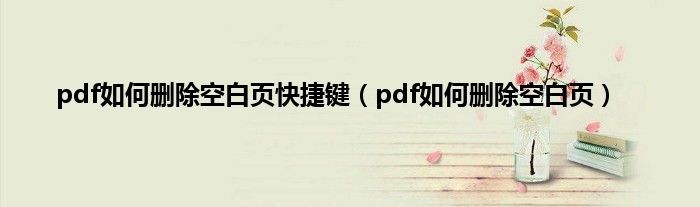 pdf如何删除空白页快捷键（pdf如何删除空白页）