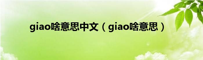 giao啥意思中文（giao啥意思）