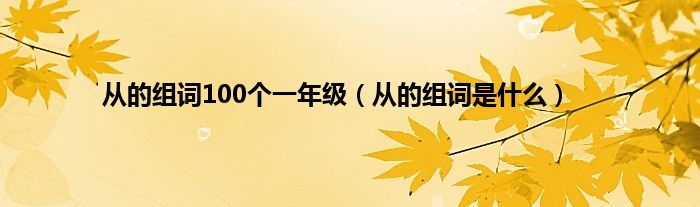 从的组词100个一年级（从的组词是是什么）