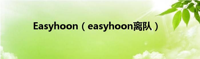 Easyhoon（easyhoon离队）