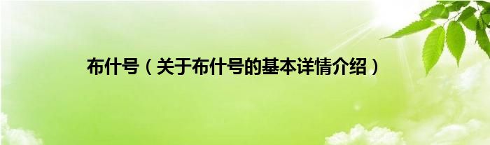 布什号（关于布什号的基本详情介绍）