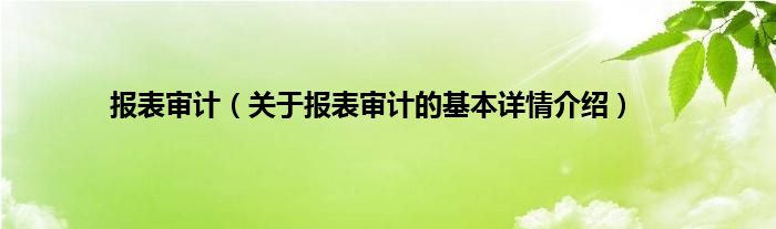 报表审计（关于报表审计的基本详情介绍）