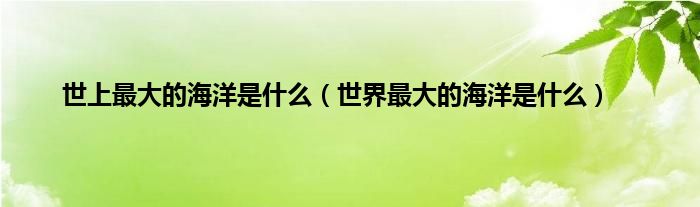 世上最大的海洋是是什么（世界最大的海洋是是什么）