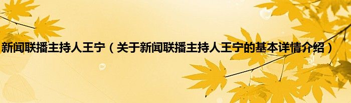 新闻联播主持人王宁（关于新闻联播主持人王宁的基本详情介绍）