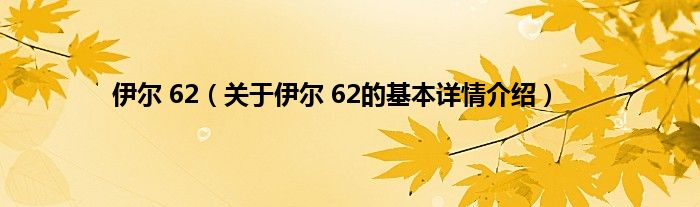 伊尔 62（关于伊尔 62的基本详情介绍）