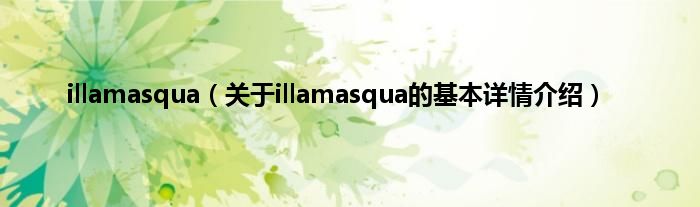 illamasqua（关于illamasqua的基本详情介绍）