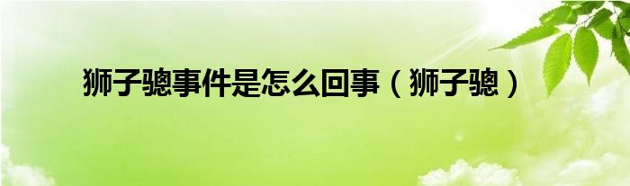 狮子骢事件是怎么回事（狮子骢）