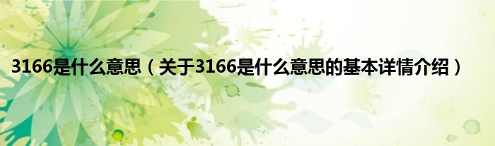 3166是是什么意思（关于3166是是什么意思的基本详情介绍）