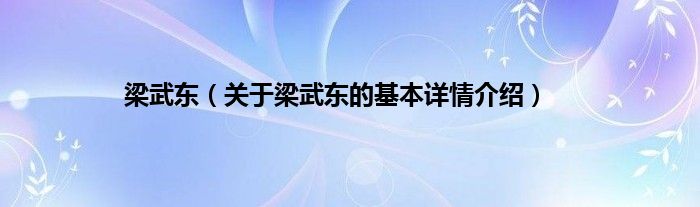 梁武东（关于梁武东的基本详情介绍）